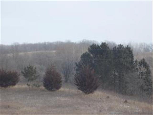 15 Co Road Brandon, MN 56315 - Photo 2 of 6 Gallery Image 2