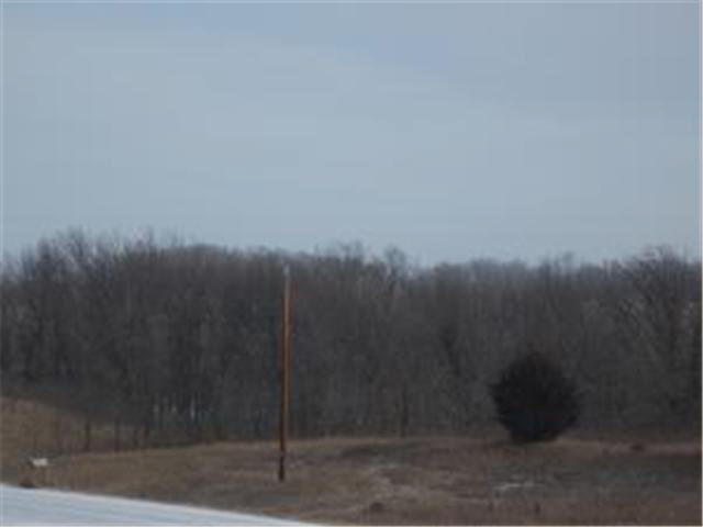 15 Co Road Brandon, MN 56315 - Photo 3 of 6 Gallery Image 3
