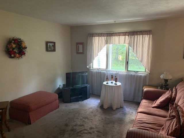 2205 Boston Road, Unit L113 Wilbraham, MA 01095 - Photo 6 of 12 Gallery Image 6