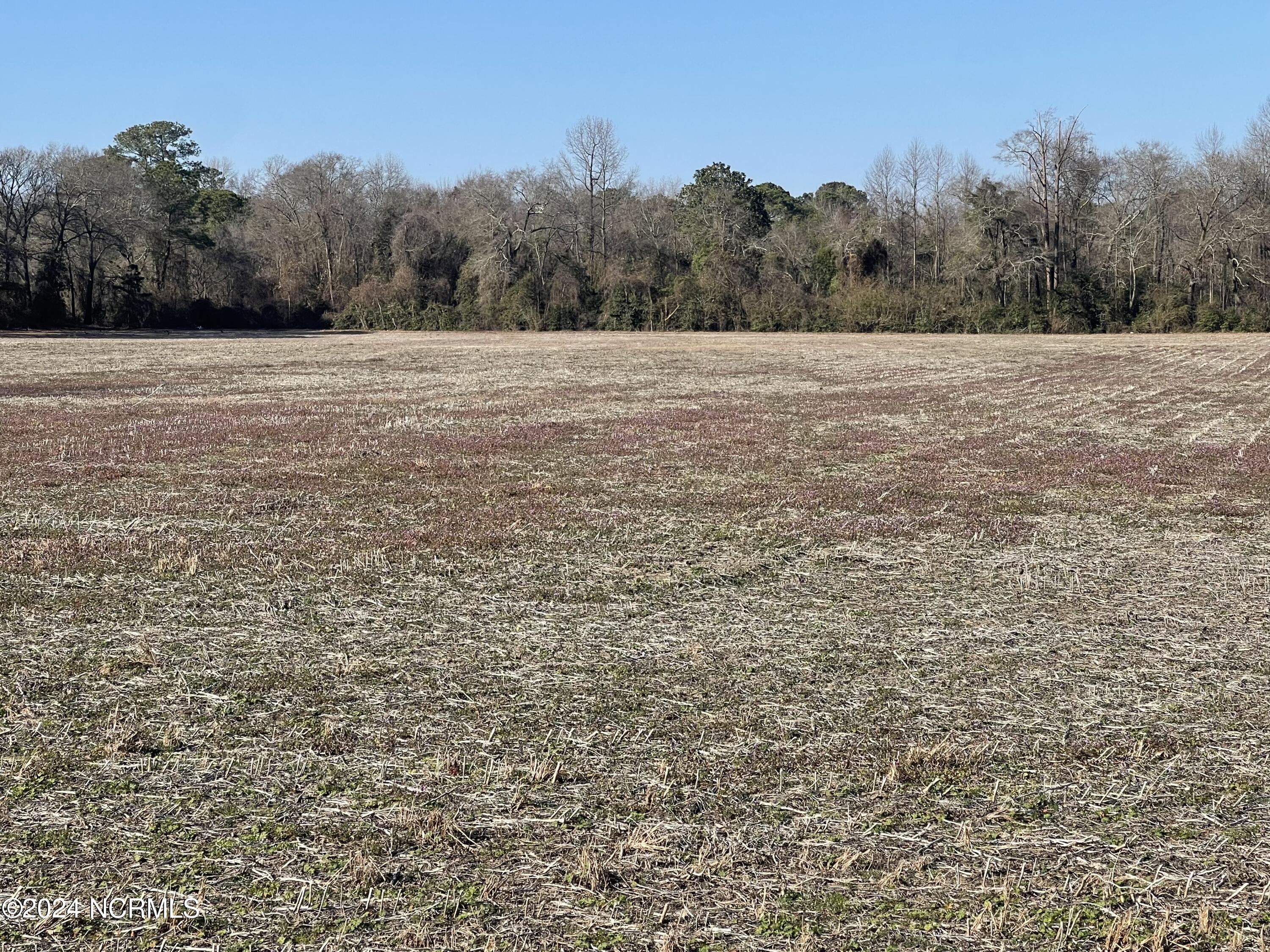 0 Duplin County Road Pink Hill, NC 28572 - Photo 4 of 14 256 Duplin County Road