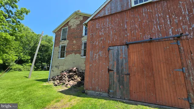 a view of a yard with plants and large trees