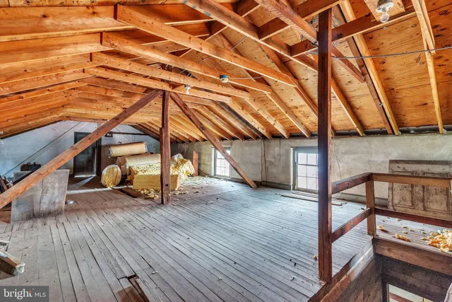 a view of a garden with a tree