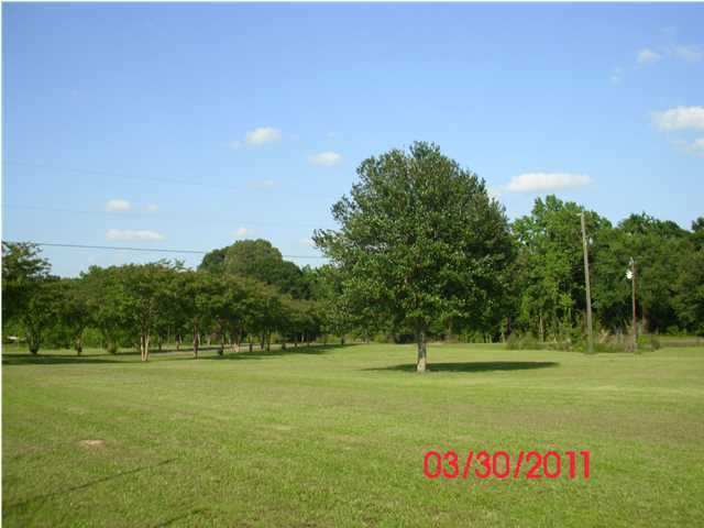 191 Pointe Verte Road Washington, LA 70589 - Photo 20 of 23 Additional Photo
