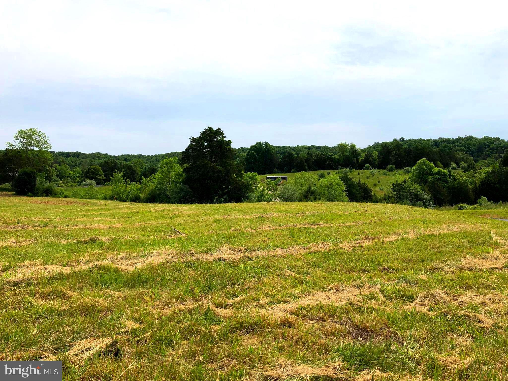 Lot 5 Spring Valley Stephens City, VA 22655 - Photo 1 of 6