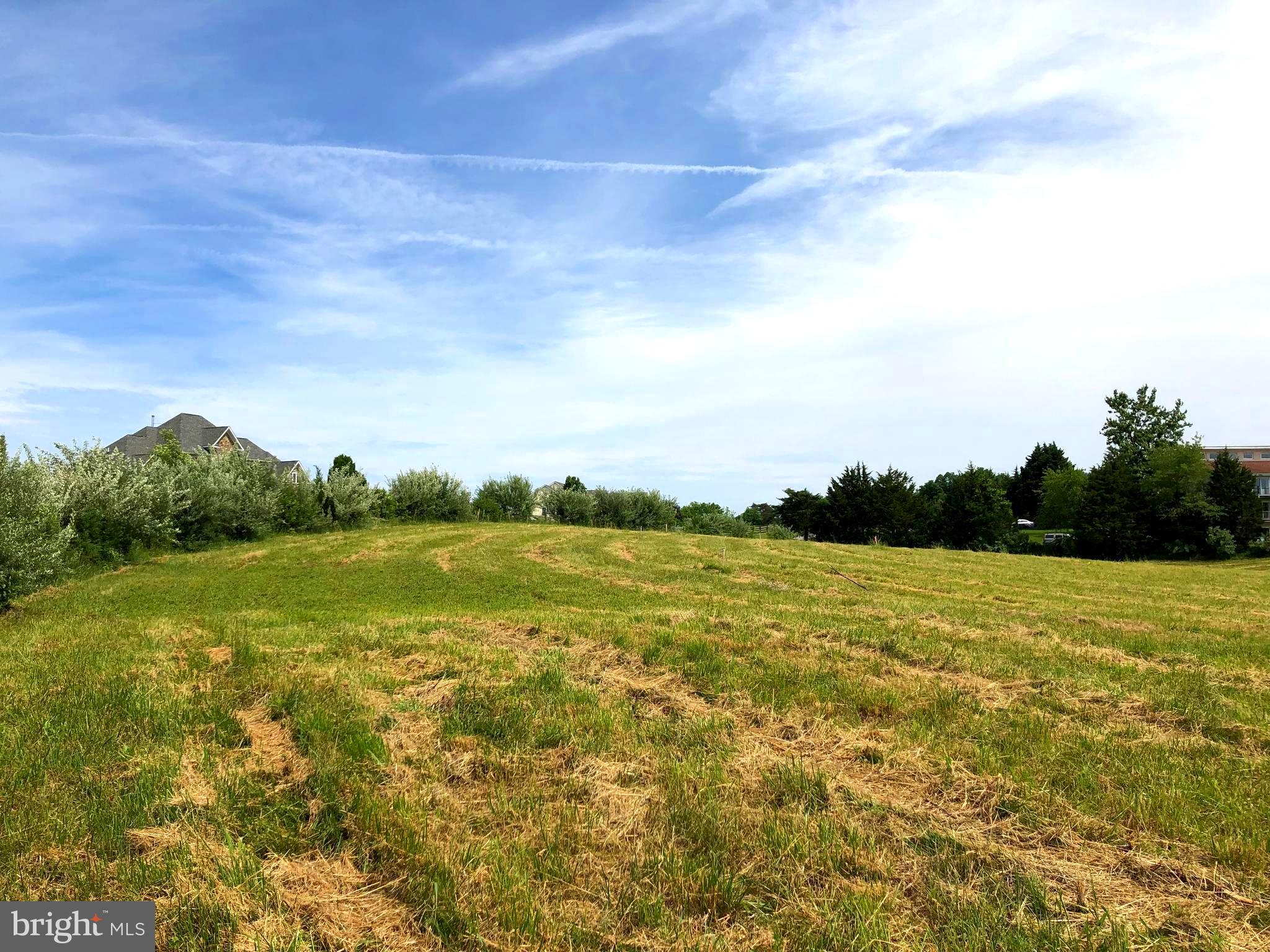 Lot 5 Spring Valley Stephens City, VA 22655 - Photo 3 of 6