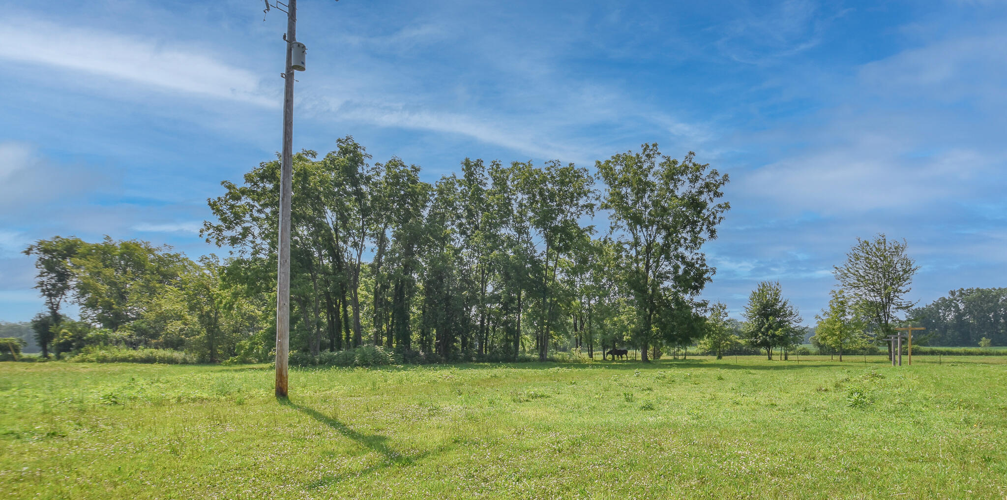 329 West Lockwood Road Coldwater, MI 49036 - Photo 42 of 44 DSC_0928-Edit