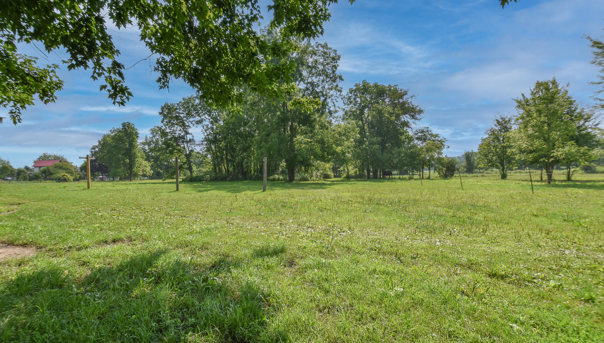 329 West Lockwood Road Coldwater, MI 49036 - Photo 44 of 44 DSC_0873-Edit