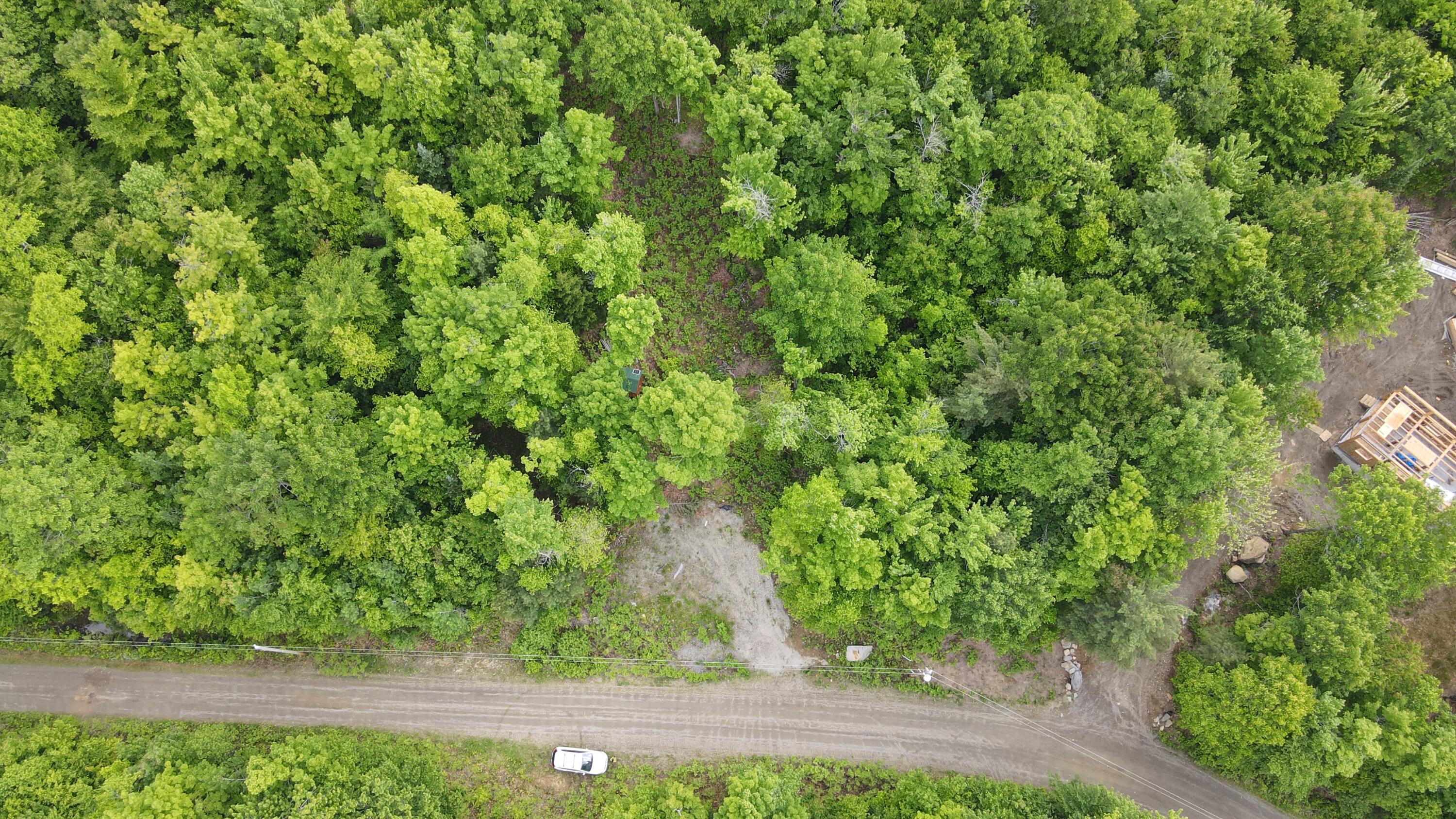 Lot #4 Mooseley Ridge Road Phillips, ME 04966 - Photo 17 of 20