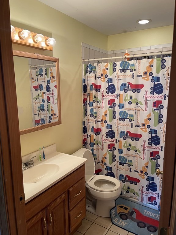 101 Wright Street Arlington, MA 02474 - Photo 17 of 18 a bathroom with a sink a toilet and shower curtain