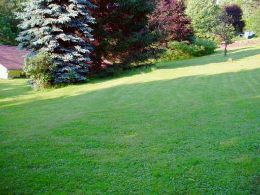 590 Sleepy Hollow Road Indiana, PA 15701 - Photo 5 of 6