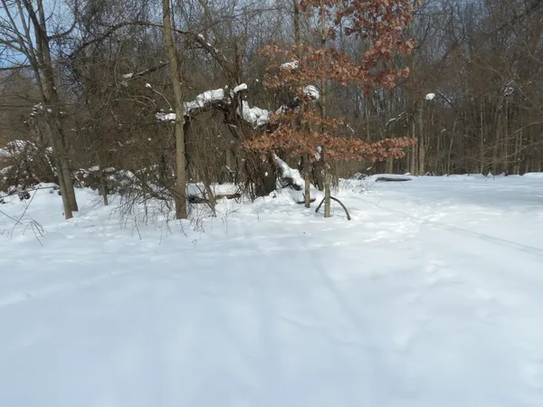$101,100 | 2103 Niles Buchanan Road, Niles, MI 49120