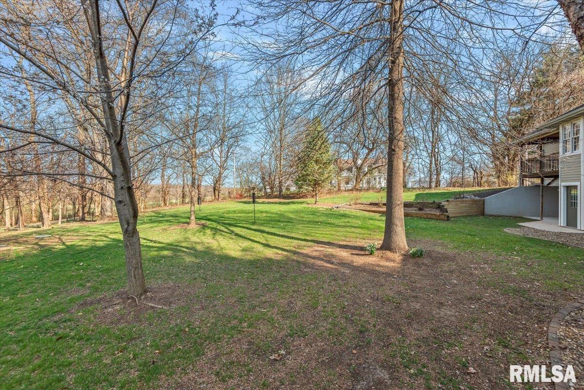 385 High Meadow Sherman, IL 62684 - Photo 39 of 43