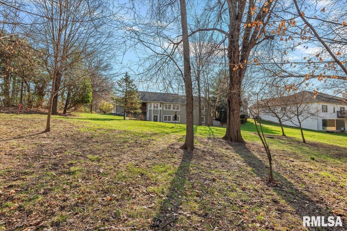 385 High Meadow Sherman, IL 62684 - Photo 41 of 43