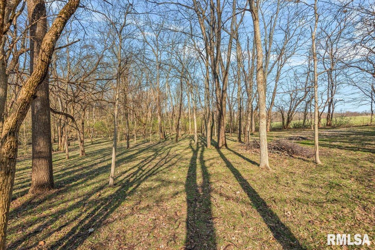 385 High Meadow Sherman, IL 62684 - Photo 42 of 43