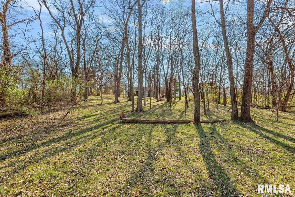 385 High Meadow Sherman, IL 62684 - Photo 43 of 43