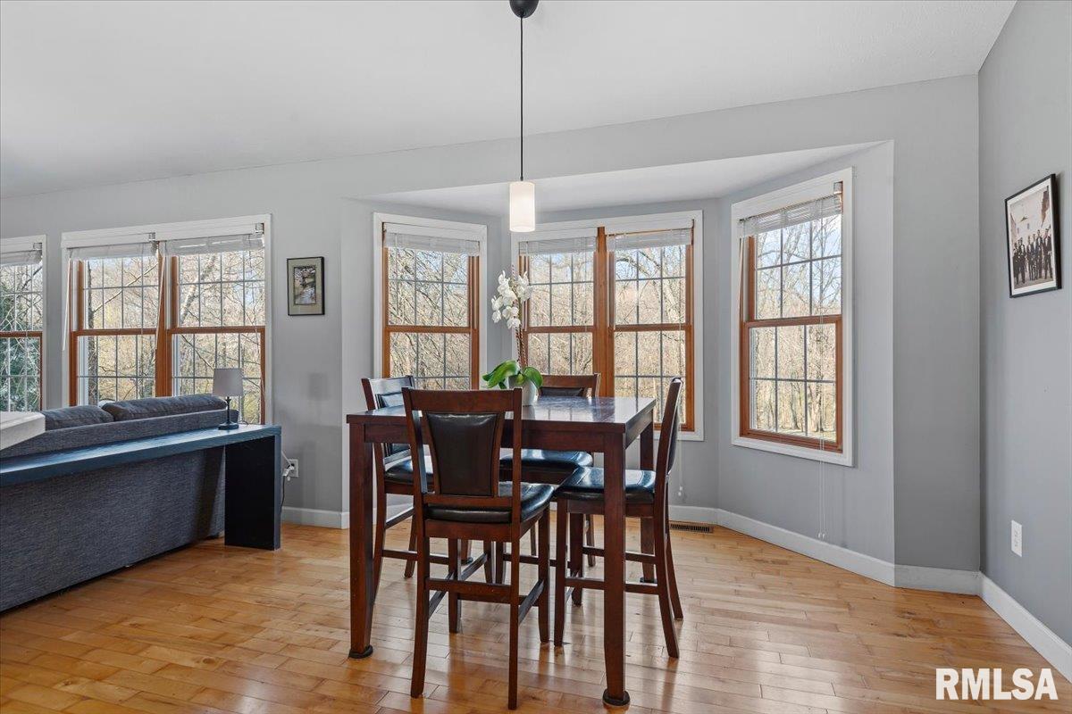 385 High Meadow Sherman, IL 62684 - Photo 10 of 43