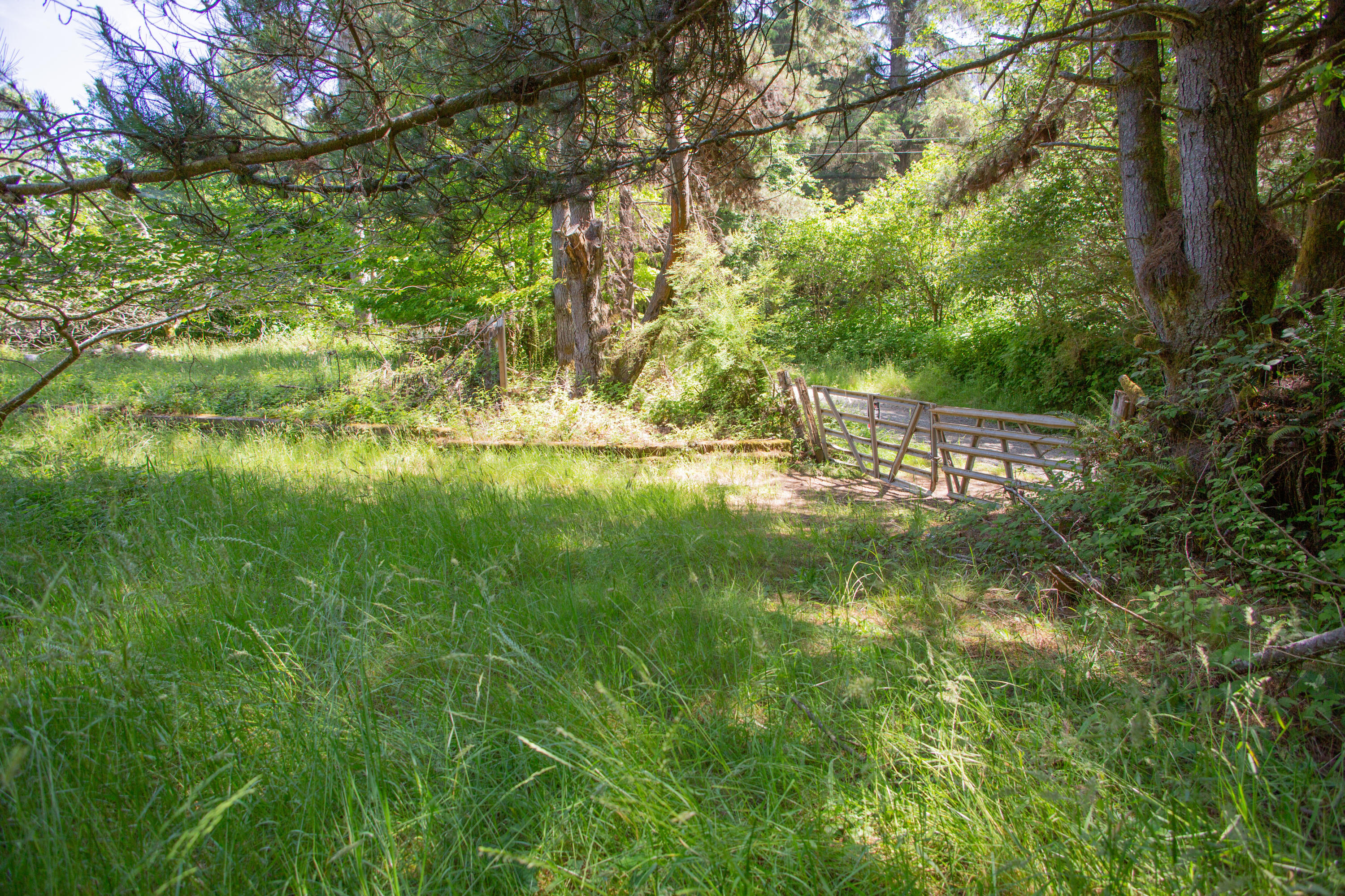 2095 Arthur Road McKinleyville, CA 95519 - Photo 6 of 29