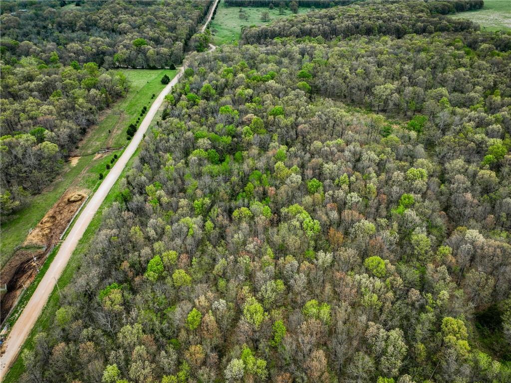 Lot 2 South 725 Road Stockton, MO 65785 - Photo 33 of 48