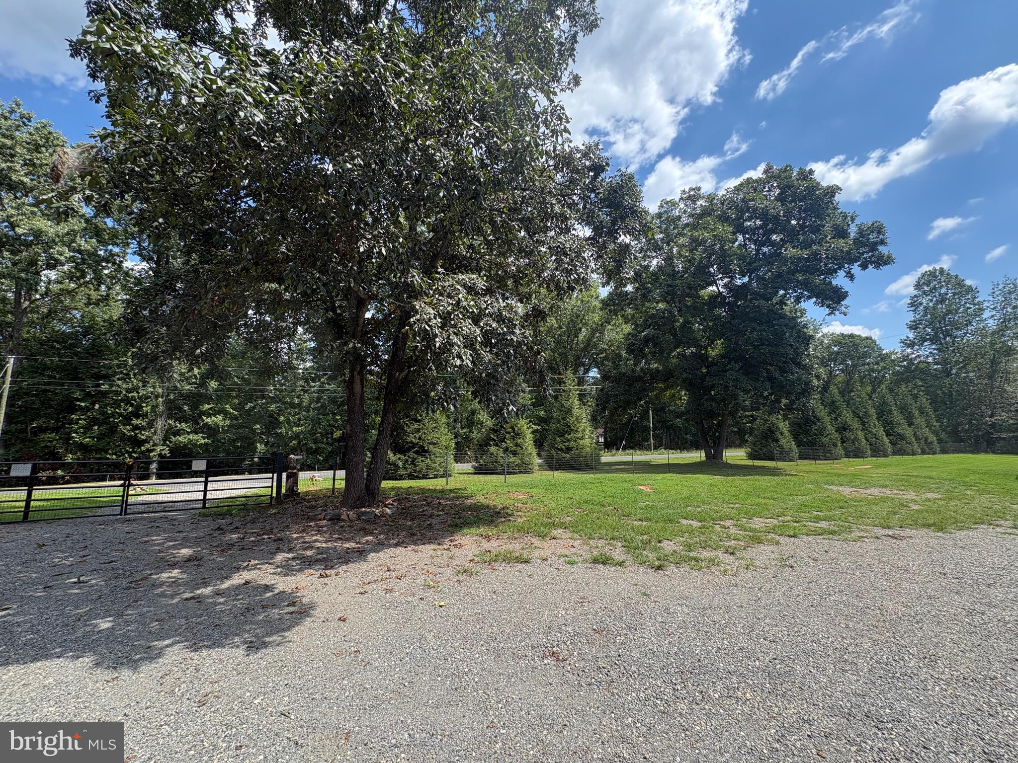 2242 Shelby Road Madison, VA 22727 - Photo 8 of 18 Gallery Image 8