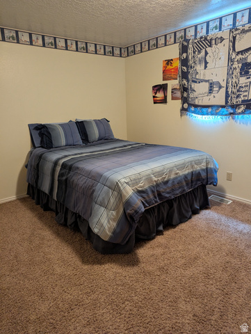 1040 West Mill Road Ferron, UT 84523 - Photo 56 of 117 Textured wall-to-wall carpeting