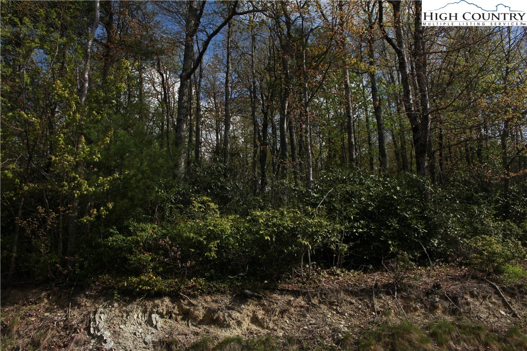 Mortimer Road Newland, NC 28657 - Photo 1 of 11 Gallery Image 1