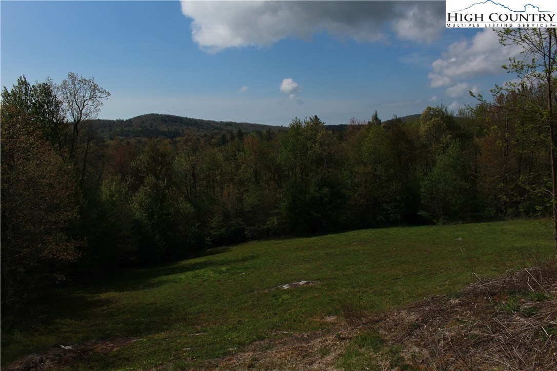Mortimer Road Newland, NC 28657 - Photo 8 of 11 Gallery Image 8