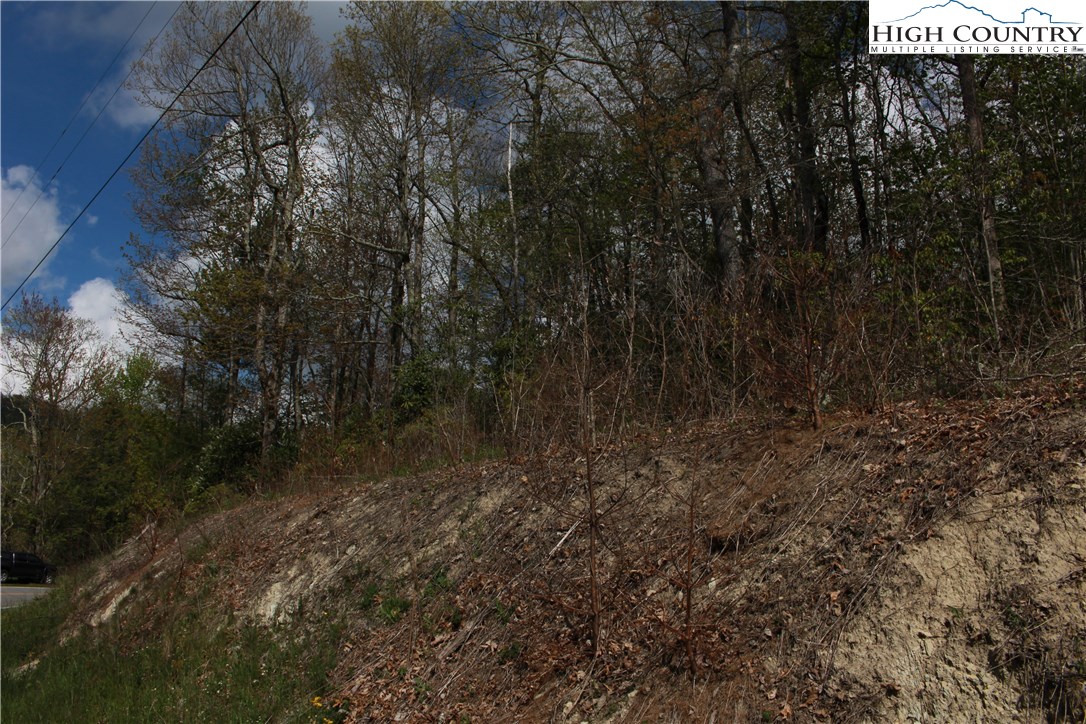 Mortimer Road Newland, NC 28657 - Photo 10 of 11 Gallery Image 10