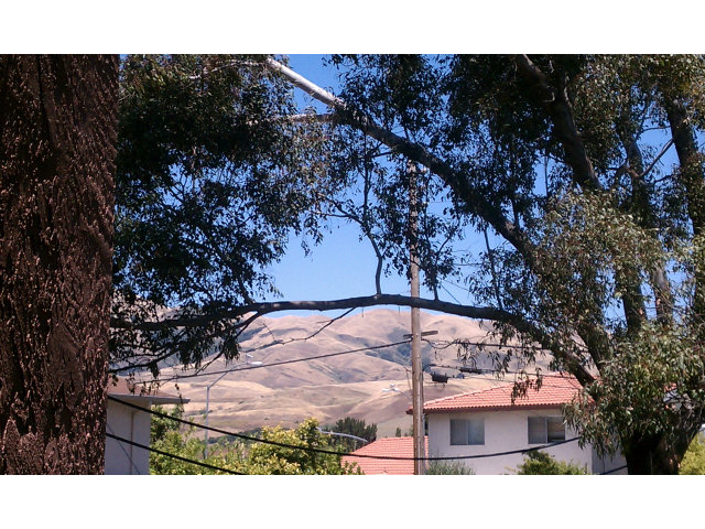 492 Dempsey Road, Unit 293 Milpitas, CA 95035 - Photo 11 of 12 Gallery Image 11