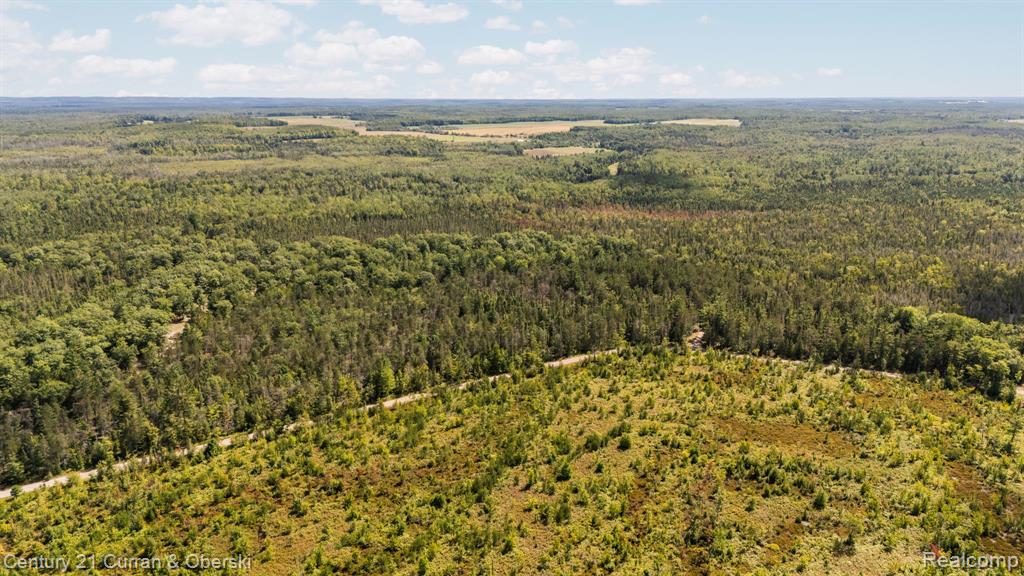 3265 Roost Road Onaway, MI 49765 - Photo 48 of 51