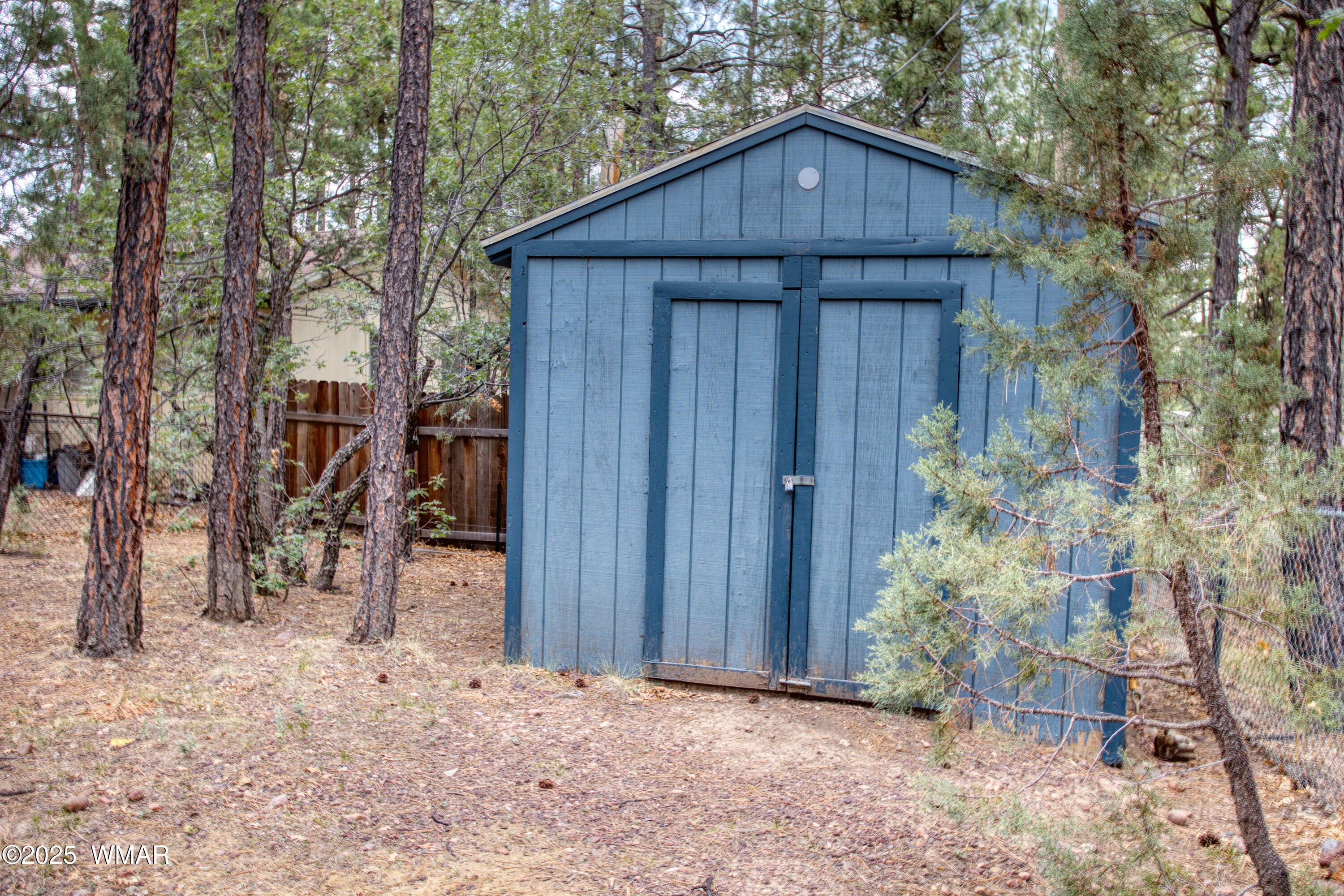 718 Eagle Loop Lakeside, AZ 85929 - Photo 28 of 36 Shed with Power