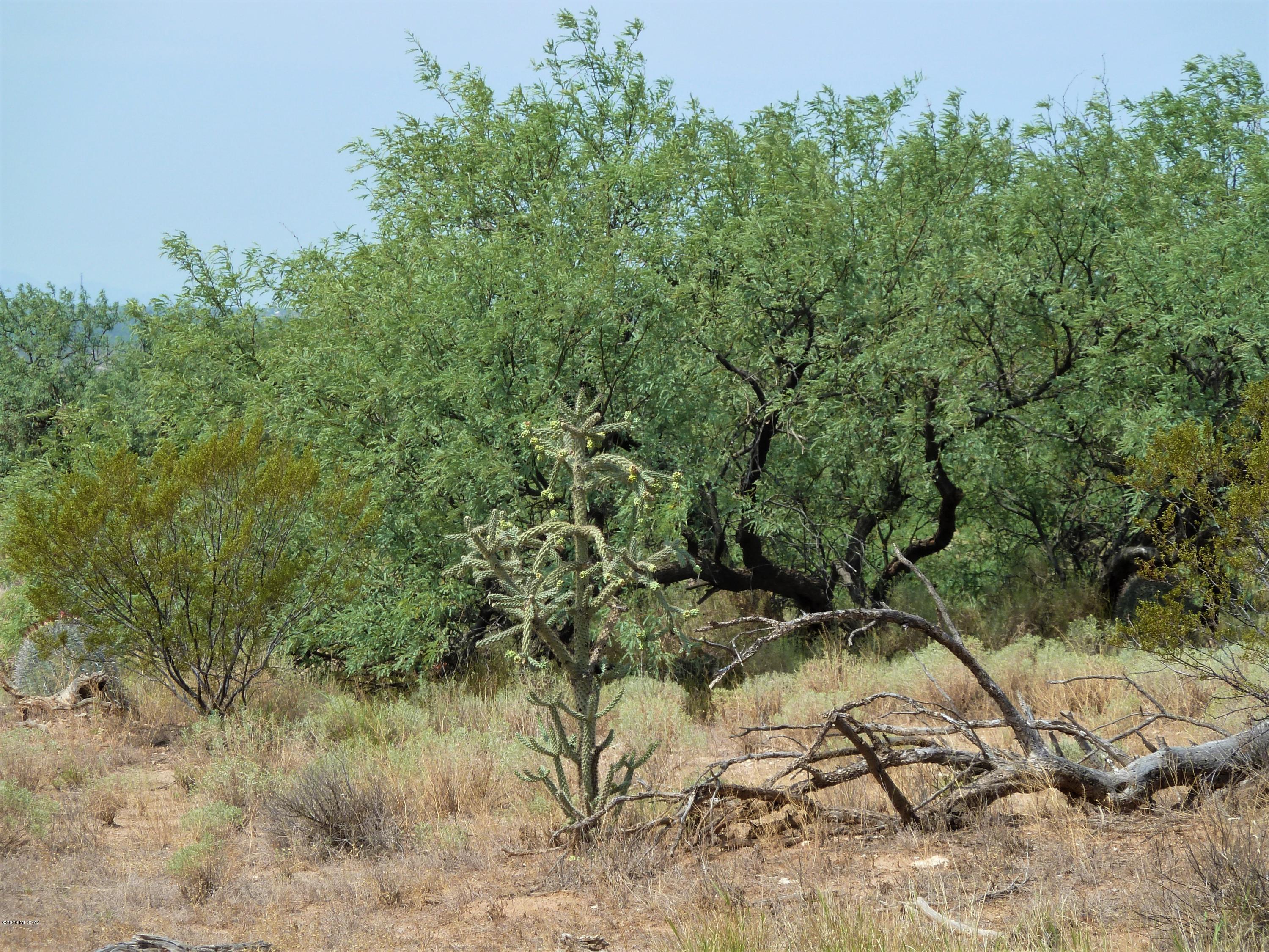 Lot 19 North San Pedro Ranch Road, Unit 19 Benson, AZ 85602 - Photo 22 of 26 Gallery Image 22