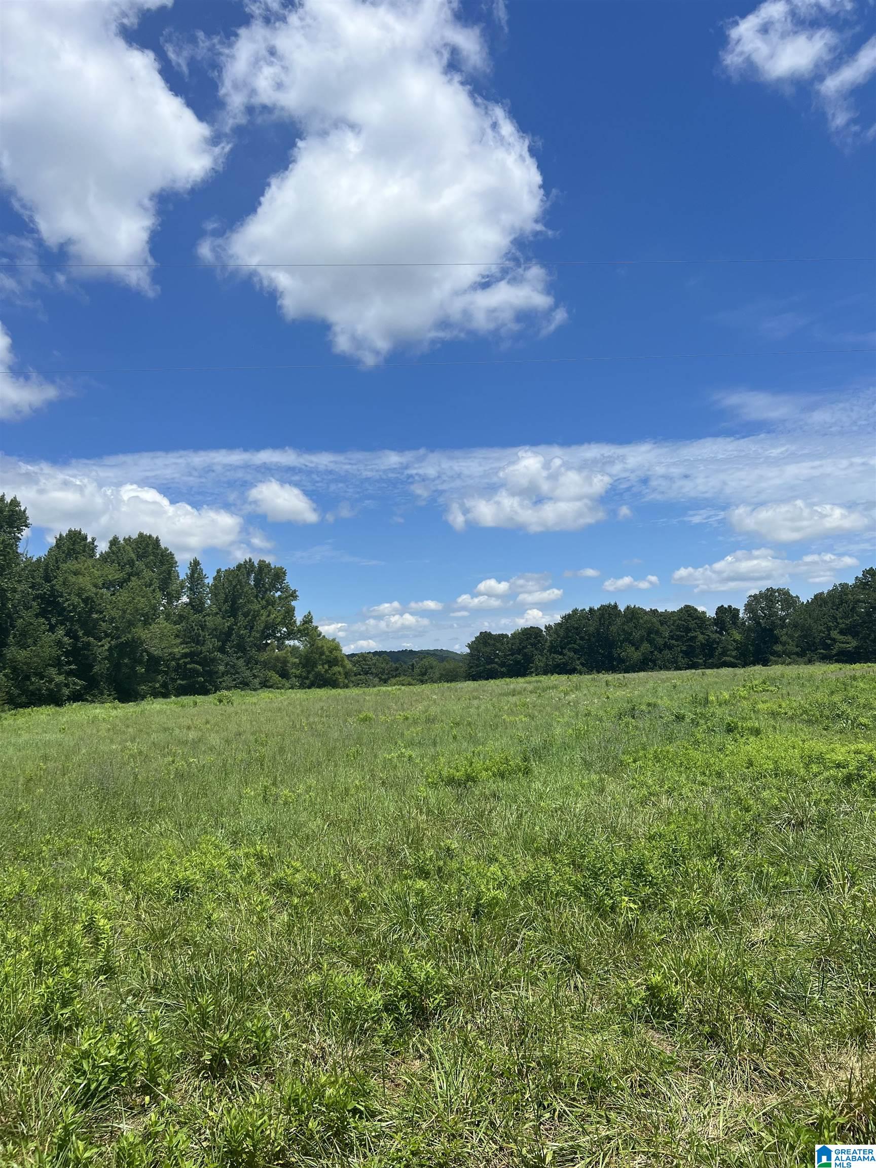 0 County Road 24, Unit 1 Springville, AL 35146 - Photo 7 of 8