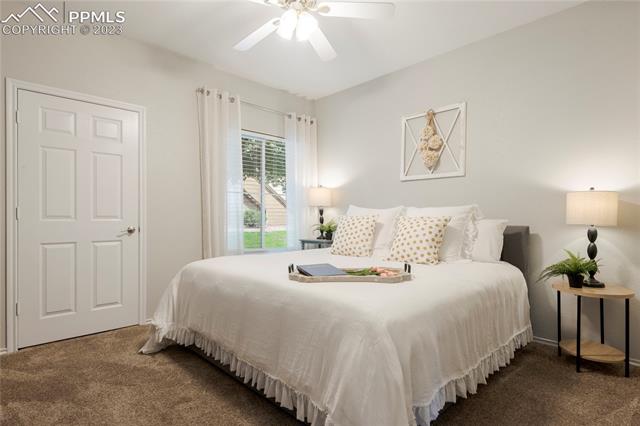 3780 Riviera Grove, Unit 101 Colorado Springs, CO 80922 - Photo 13 of 21 Light & bright Primary Suite