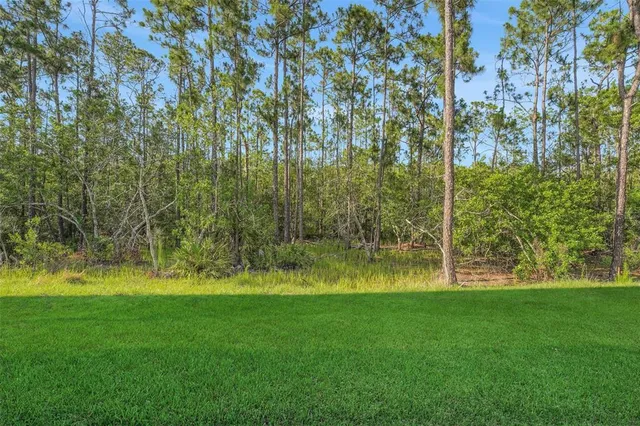 $1,029,990 | 14285 Crest Palm Avenue, Windermere, FL 34786