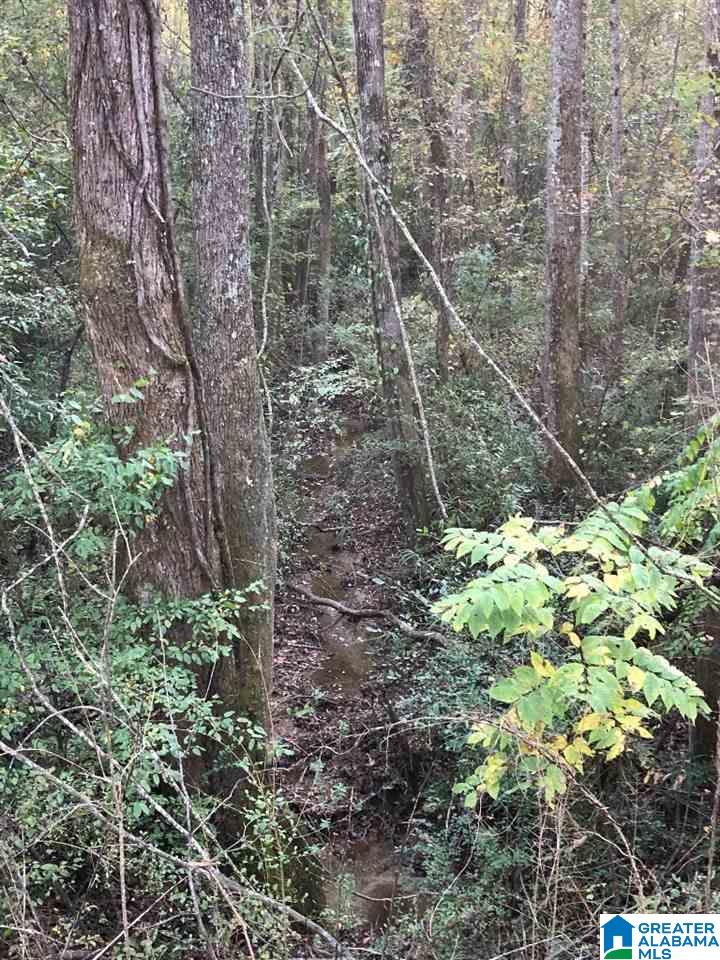 East Mill Road Lineville, AL 36266 - Photo 4 of 9