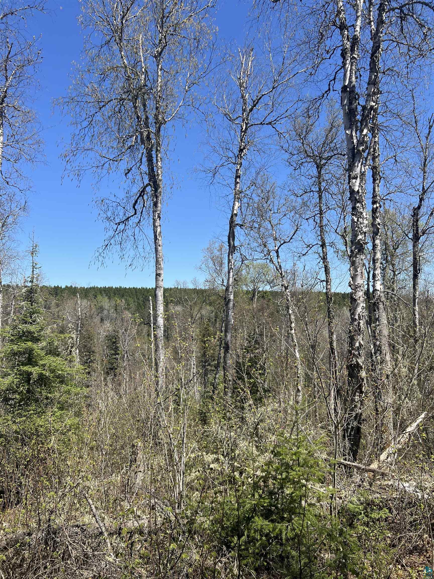 Xxx Xxx Moose Ridge Road Isabella, MN 55607 - Photo 12 of 37