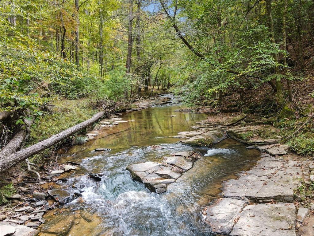 0 Trout Line Court Talking Rock, GA 30175 - Photo 21 of 50 a view of a lake with a yard