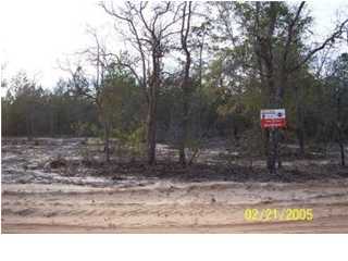 2 West Picasso Road DeFuniak Springs, FL 32433 - Photo 1 of 1 Primary Photo