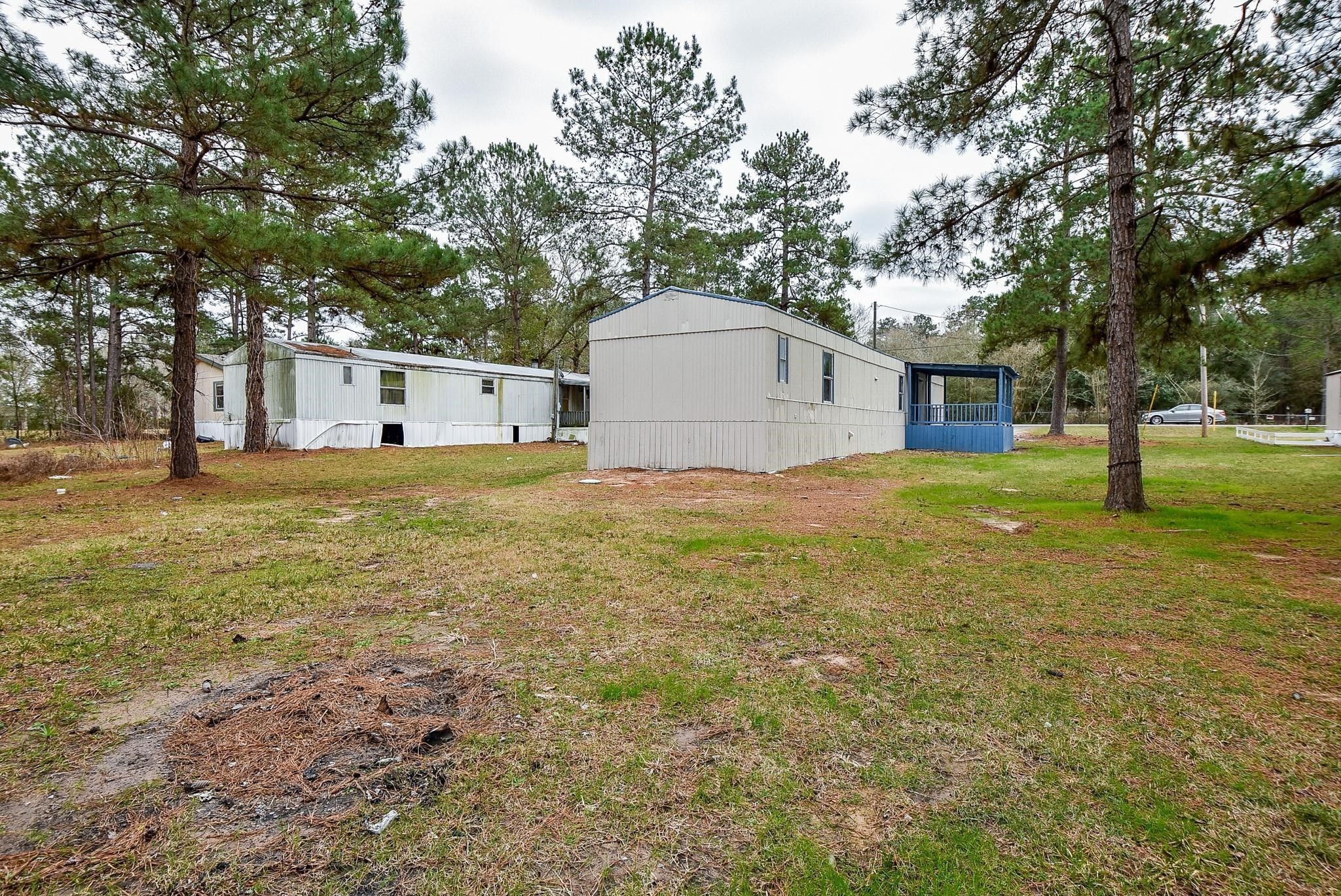 12842 Roy Harris Loop Conroe, TX 77306 - Photo 11 of 36 a view of a house with a yard and large trees