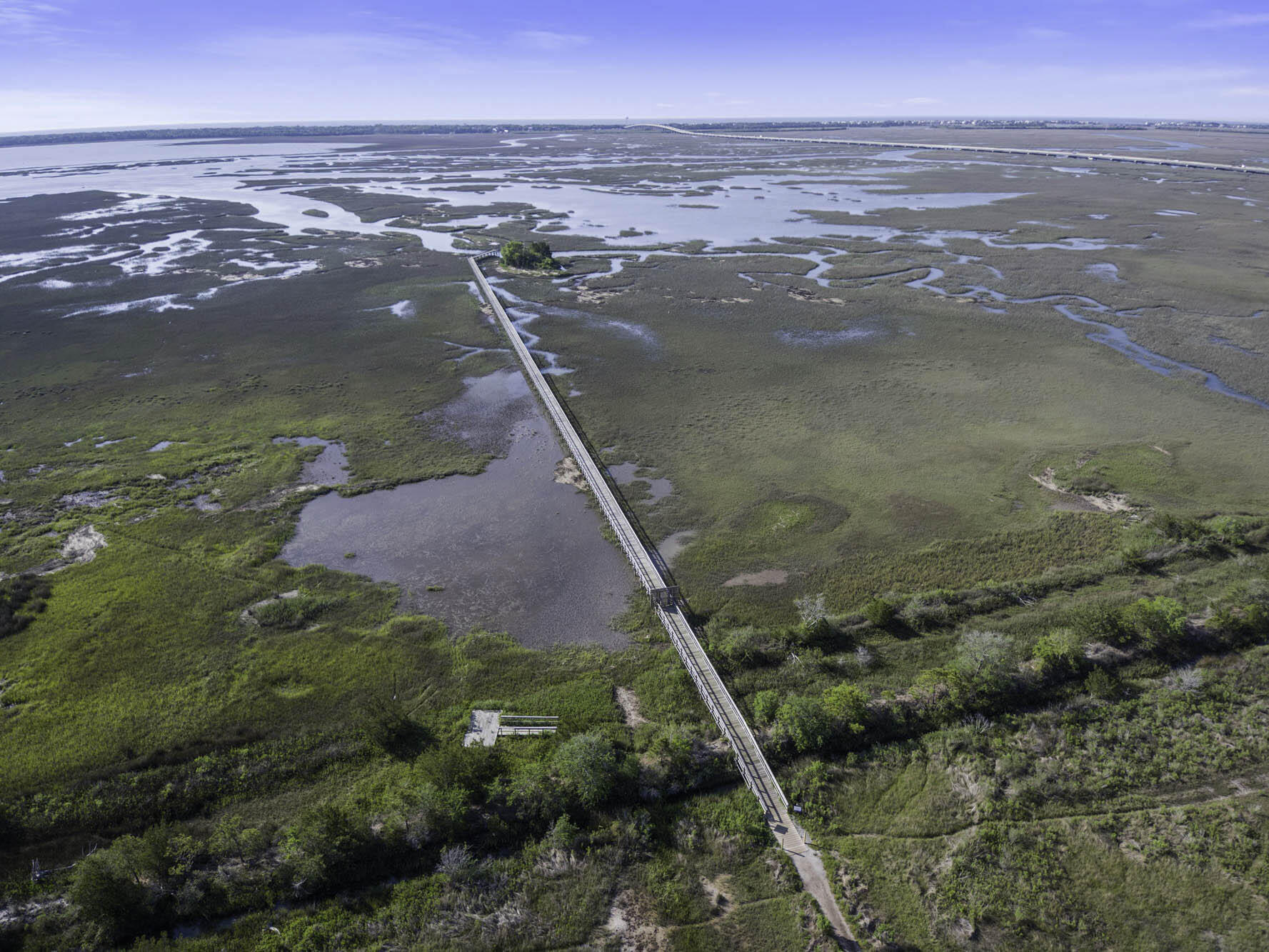 1454 Red Tide Road Mount Pleasant, SC 29466 - Photo 50 of 50 Sky view