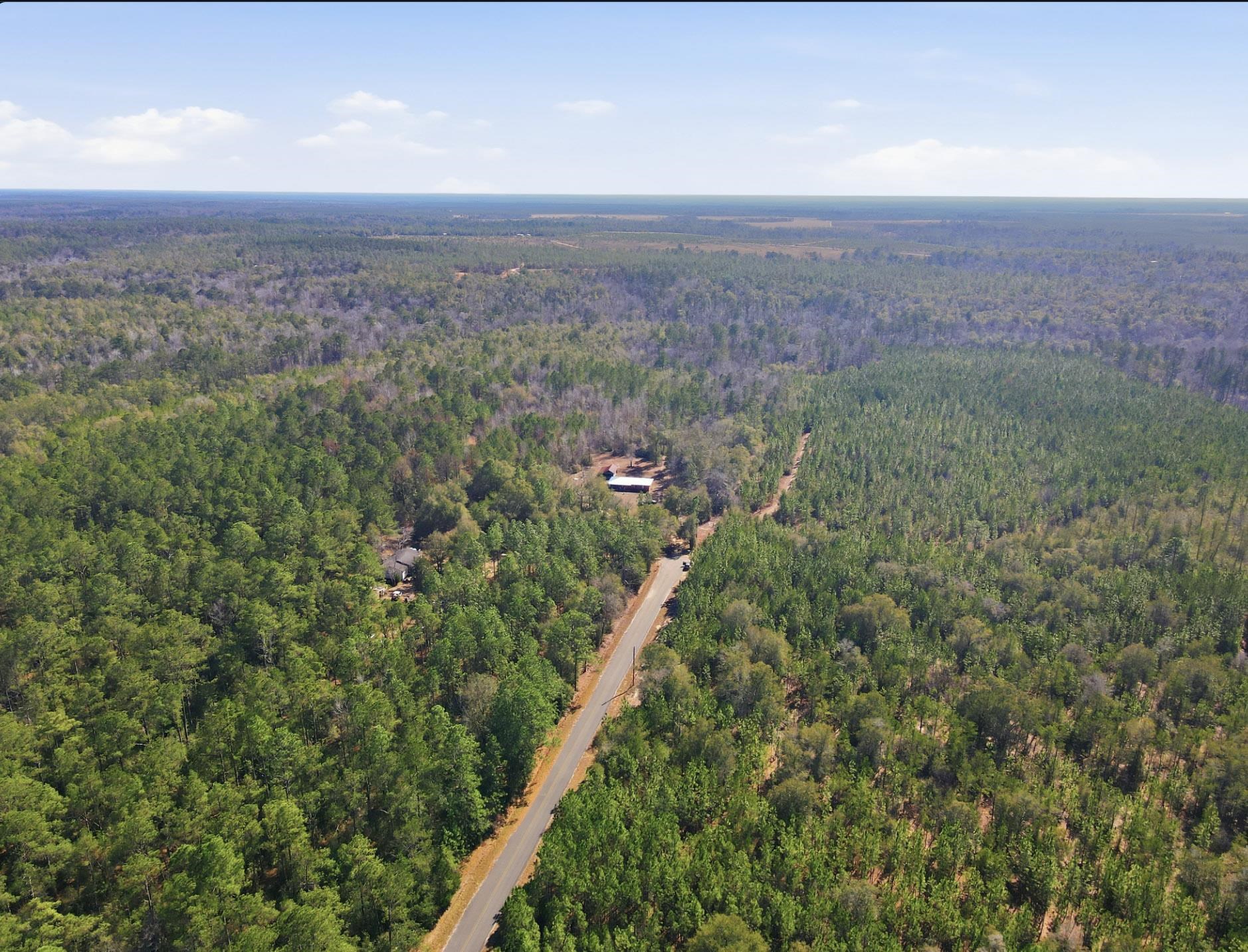 Tbd Sycamore Road Quincy, FL 32351 - Photo 11 of 14