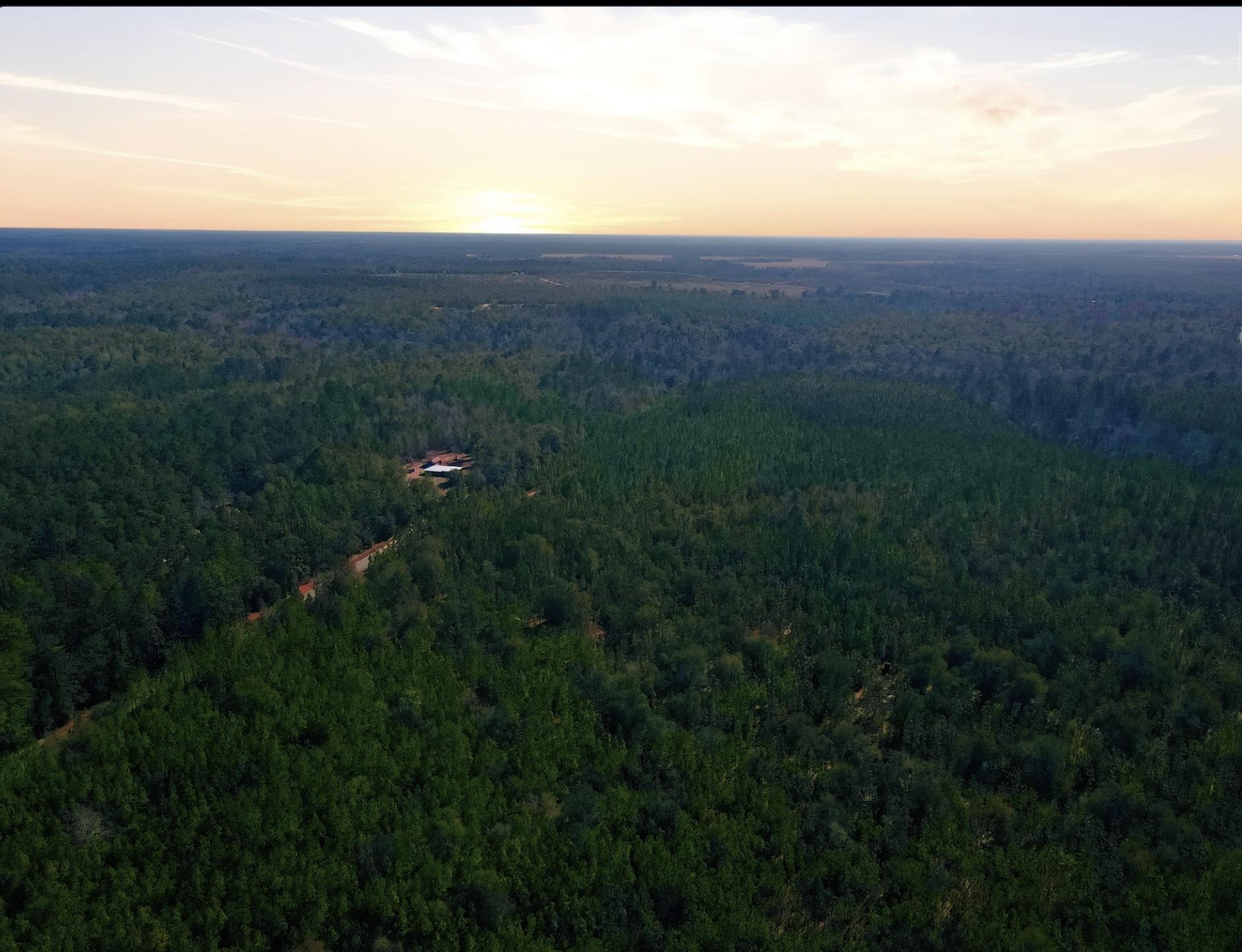 Tbd Sycamore Road Quincy, FL 32351 - Photo 12 of 14