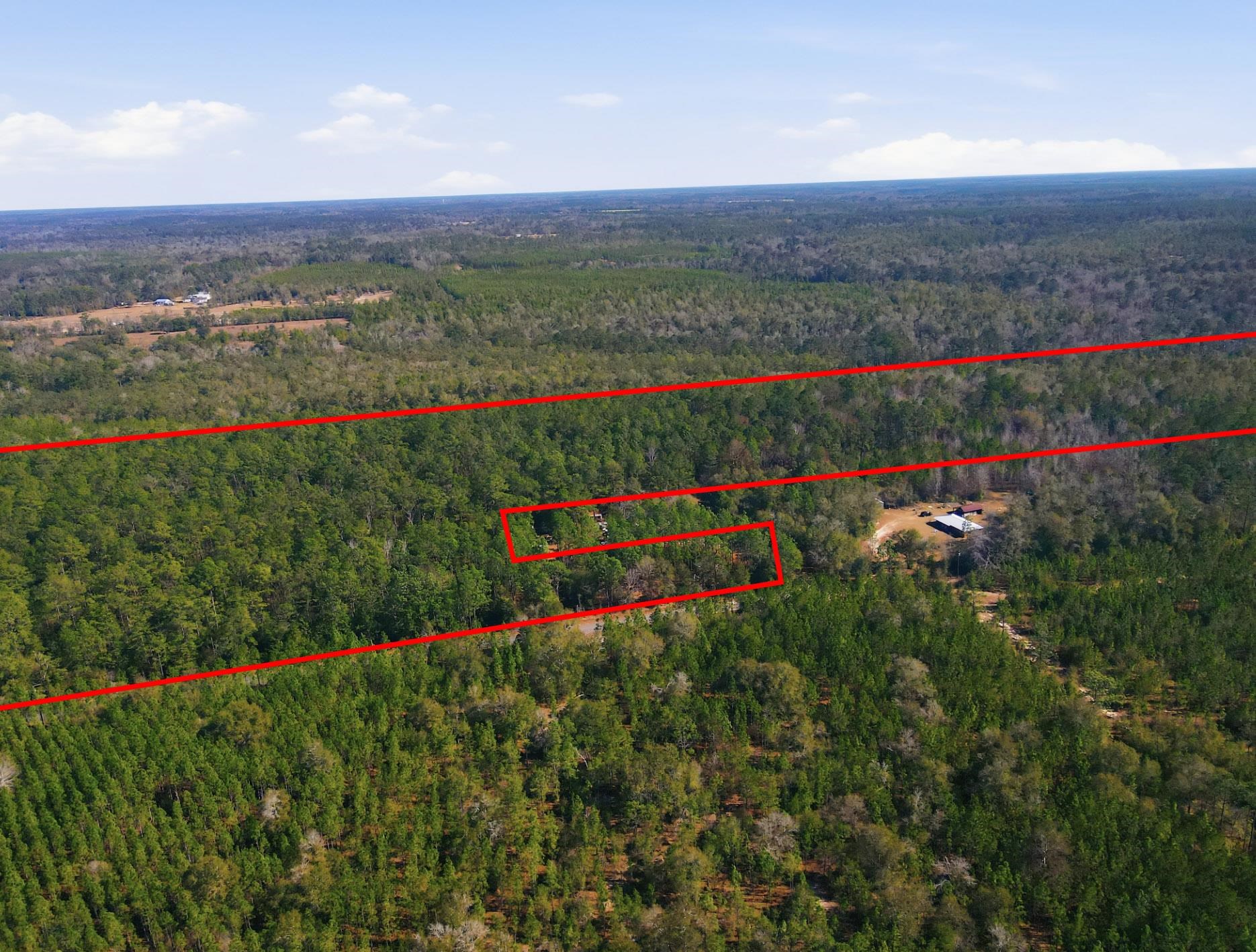 Tbd Sycamore Road Quincy, FL 32351 - Photo 13 of 14