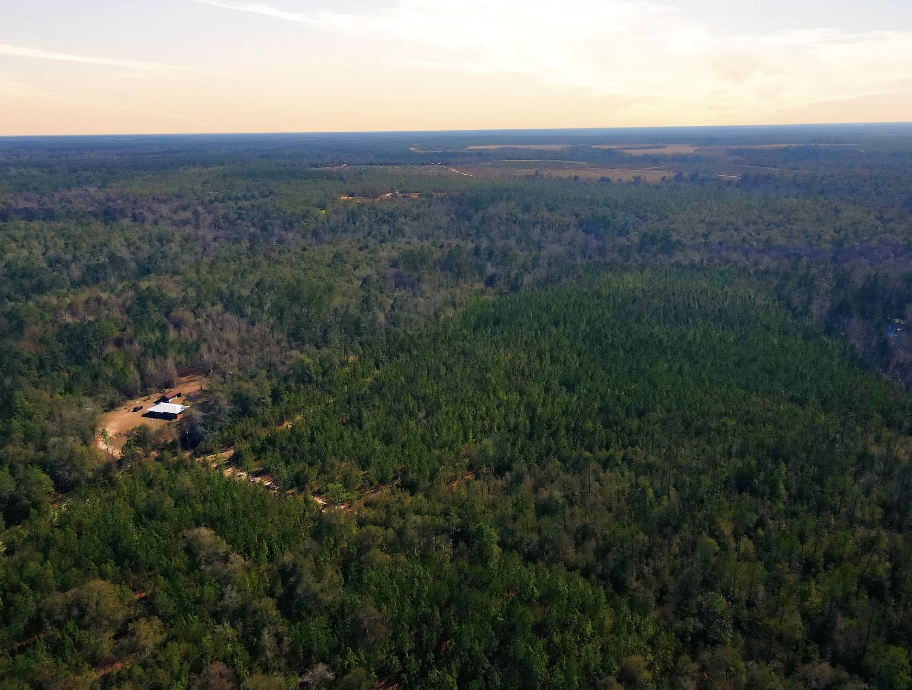 Tbd Sycamore Road Quincy, FL 32351 - Photo 14 of 14