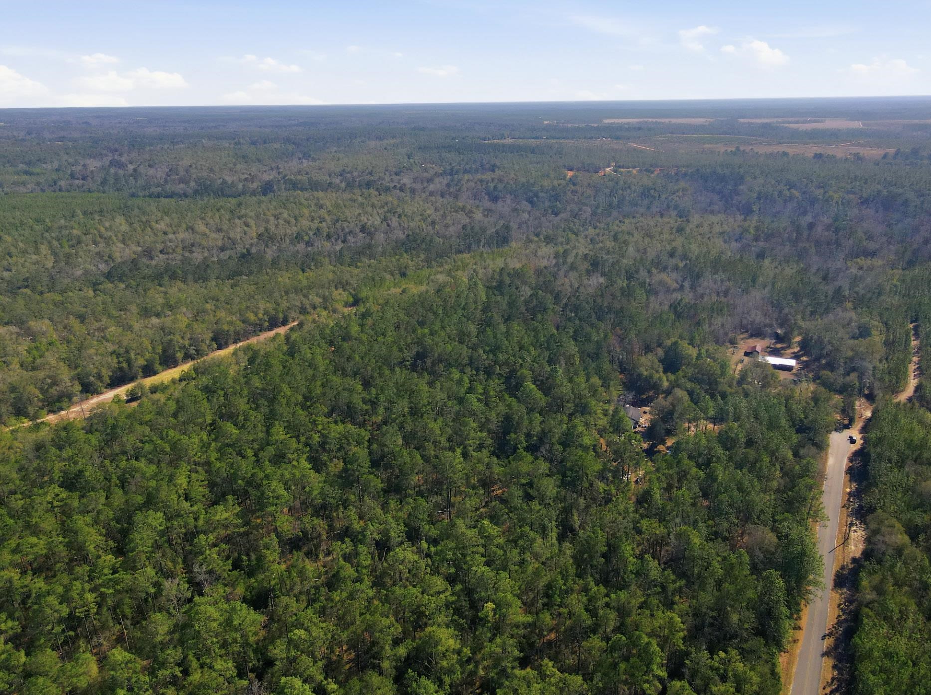 Tbd Sycamore Road Quincy, FL 32351 - Photo 2 of 14