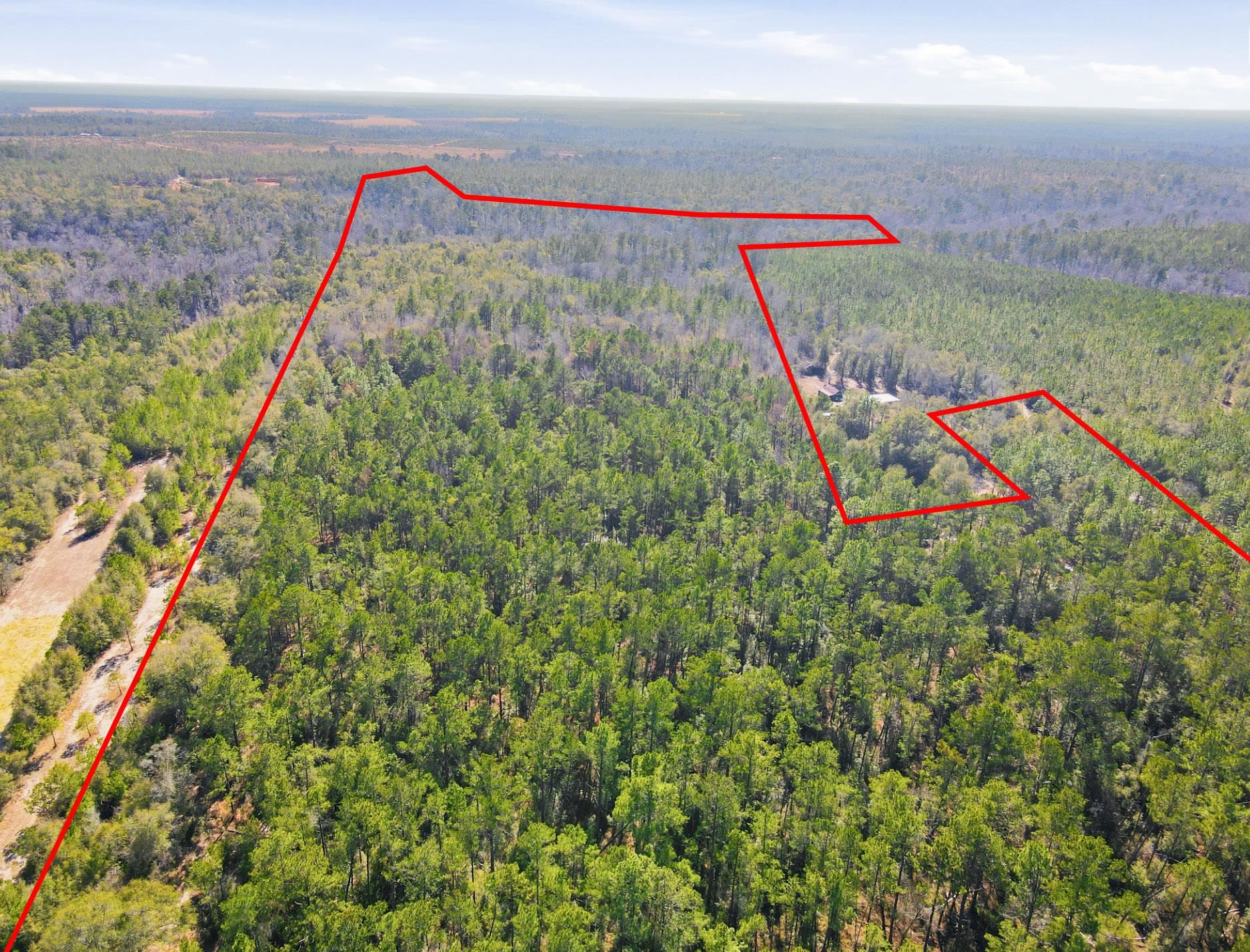 Tbd Sycamore Road Quincy, FL 32351 - Photo 6 of 14