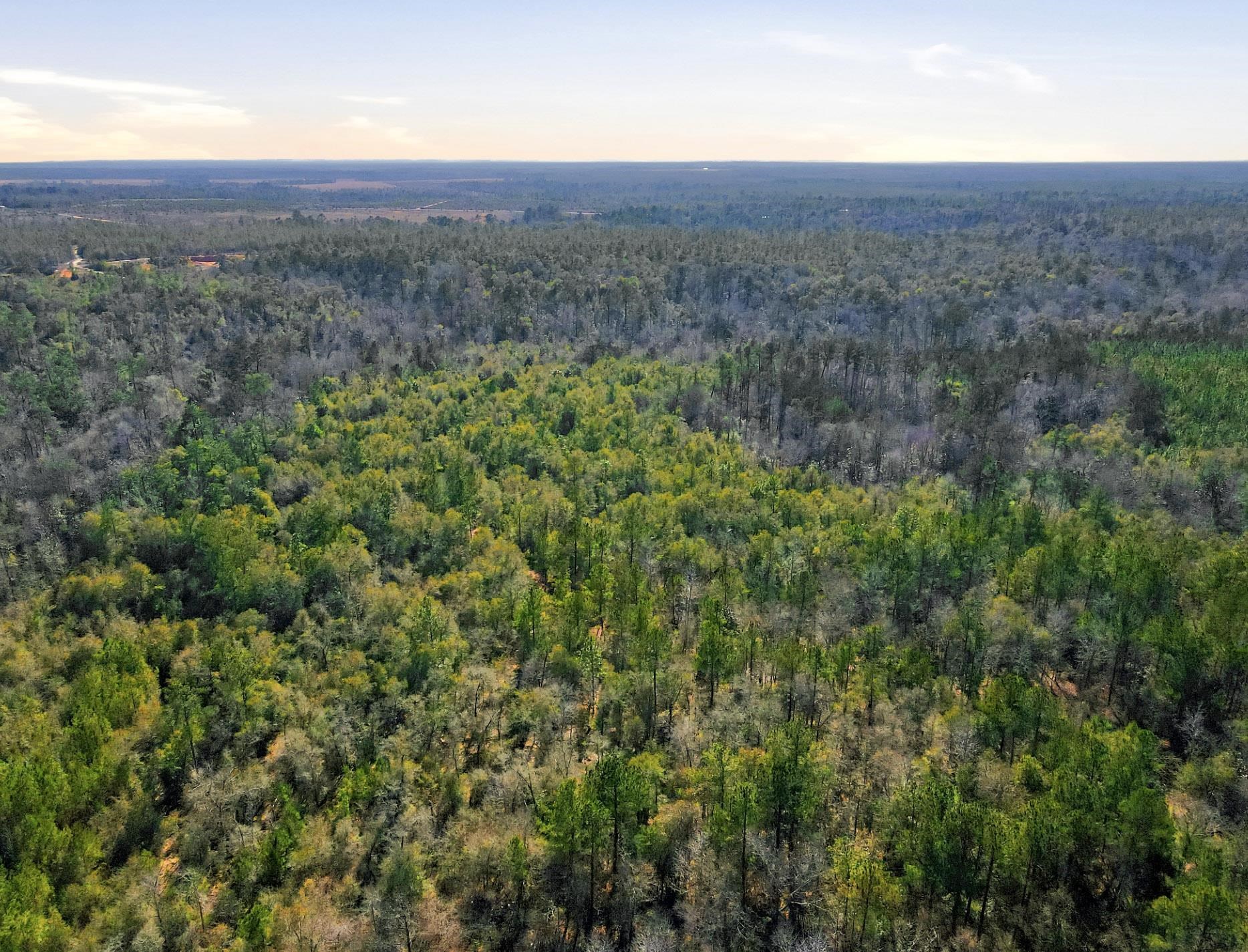 Tbd Sycamore Road Quincy, FL 32351 - Photo 7 of 14