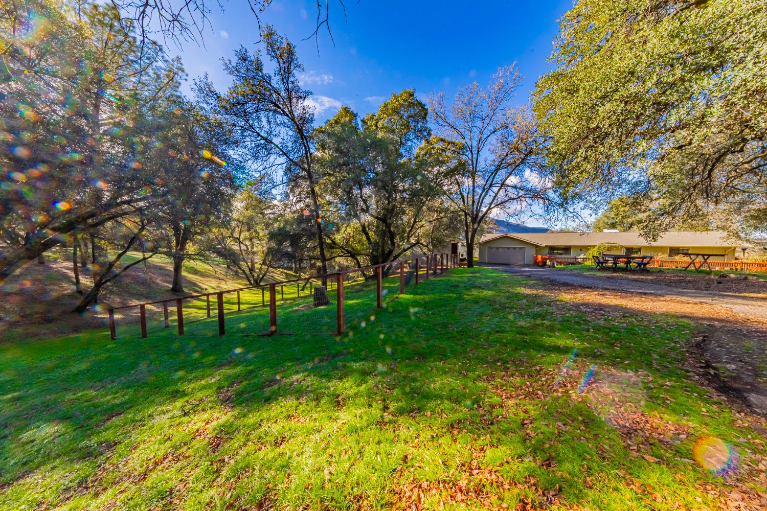 40733 Big Oak Flat Road North Oakhurst, CA 93644 - Photo 44 of 73 a view of park with tree s