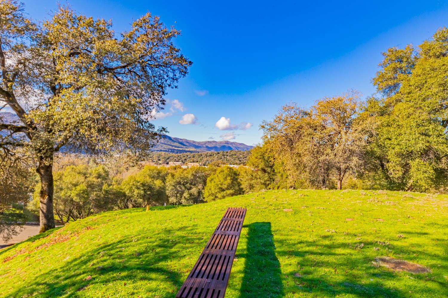 40733 Big Oak Flat Road North Oakhurst, CA 93644 - Photo 56 of 73 a view of an ocean