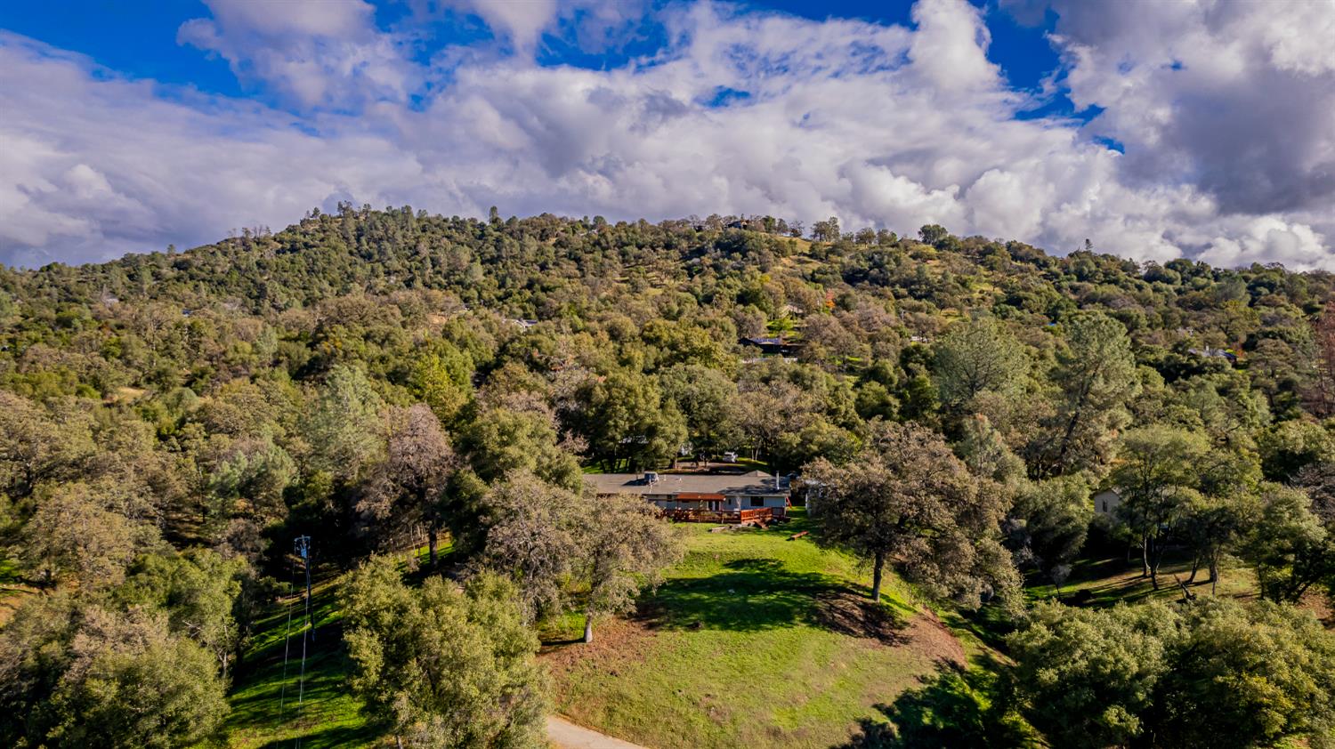 40733 Big Oak Flat Road North Oakhurst, CA 93644 - Photo 61 of 73 a view of a bunch of flowers and trees